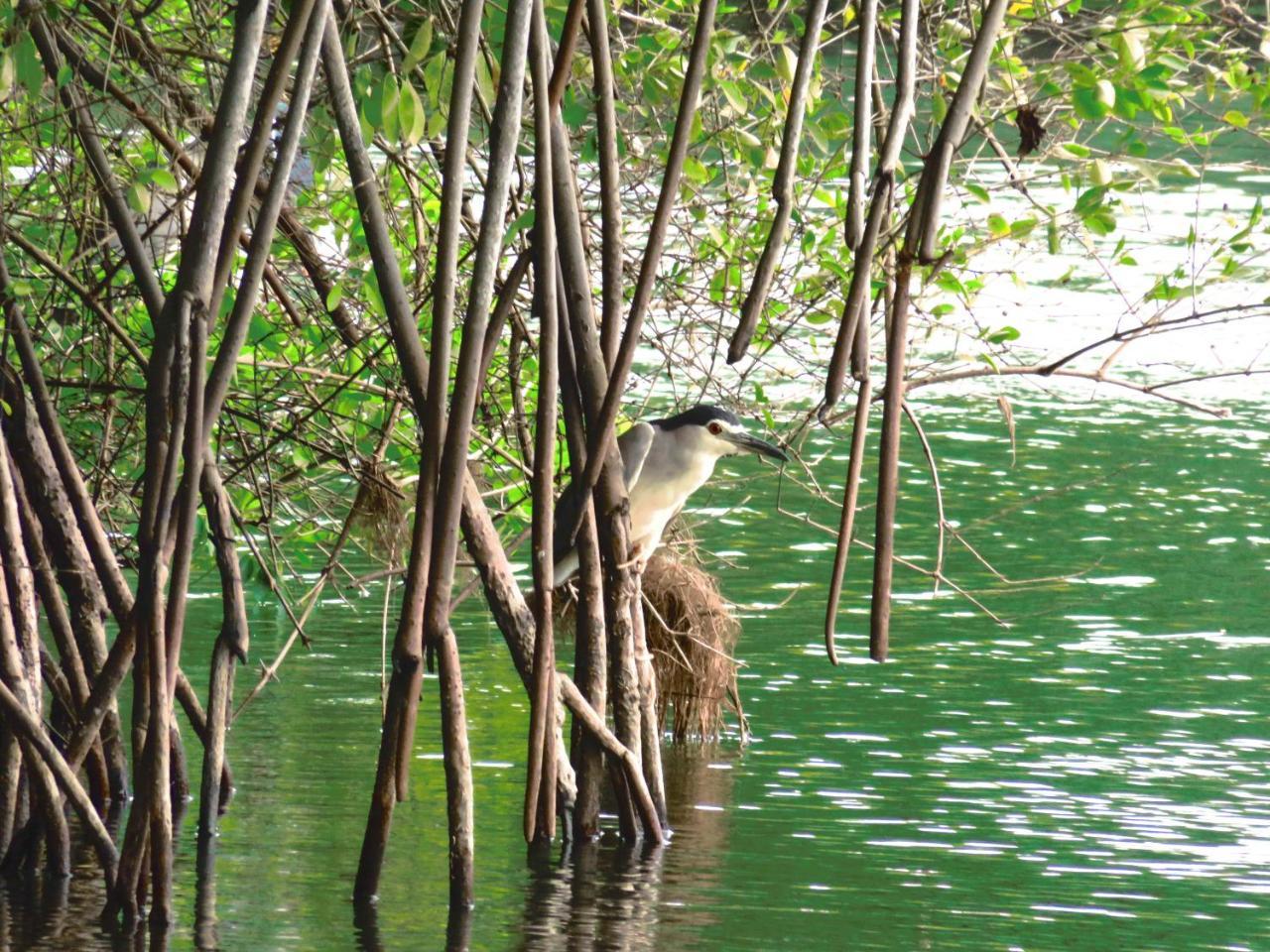 Beach Lagoon Guesthouse Tangalle Luaran gambar