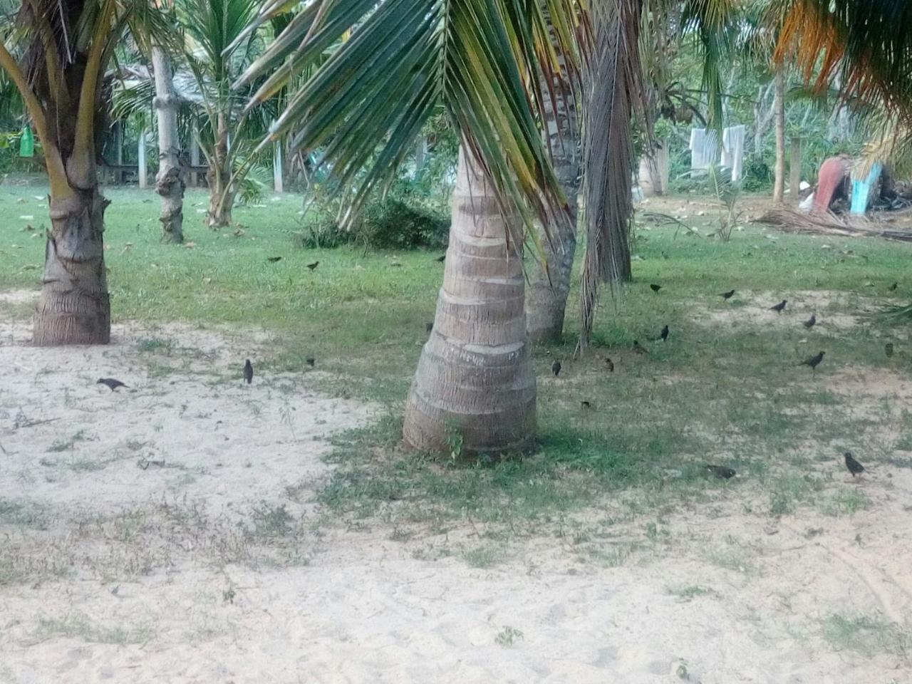 Beach Lagoon Guesthouse Tangalle Luaran gambar