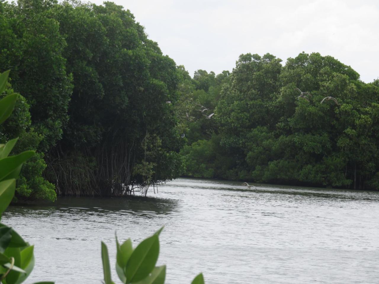 Beach Lagoon Guesthouse Tangalle Luaran gambar